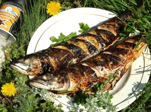 Фото рецепта «Скумбрия, запечённая на мангале с лимоном и зеленью»